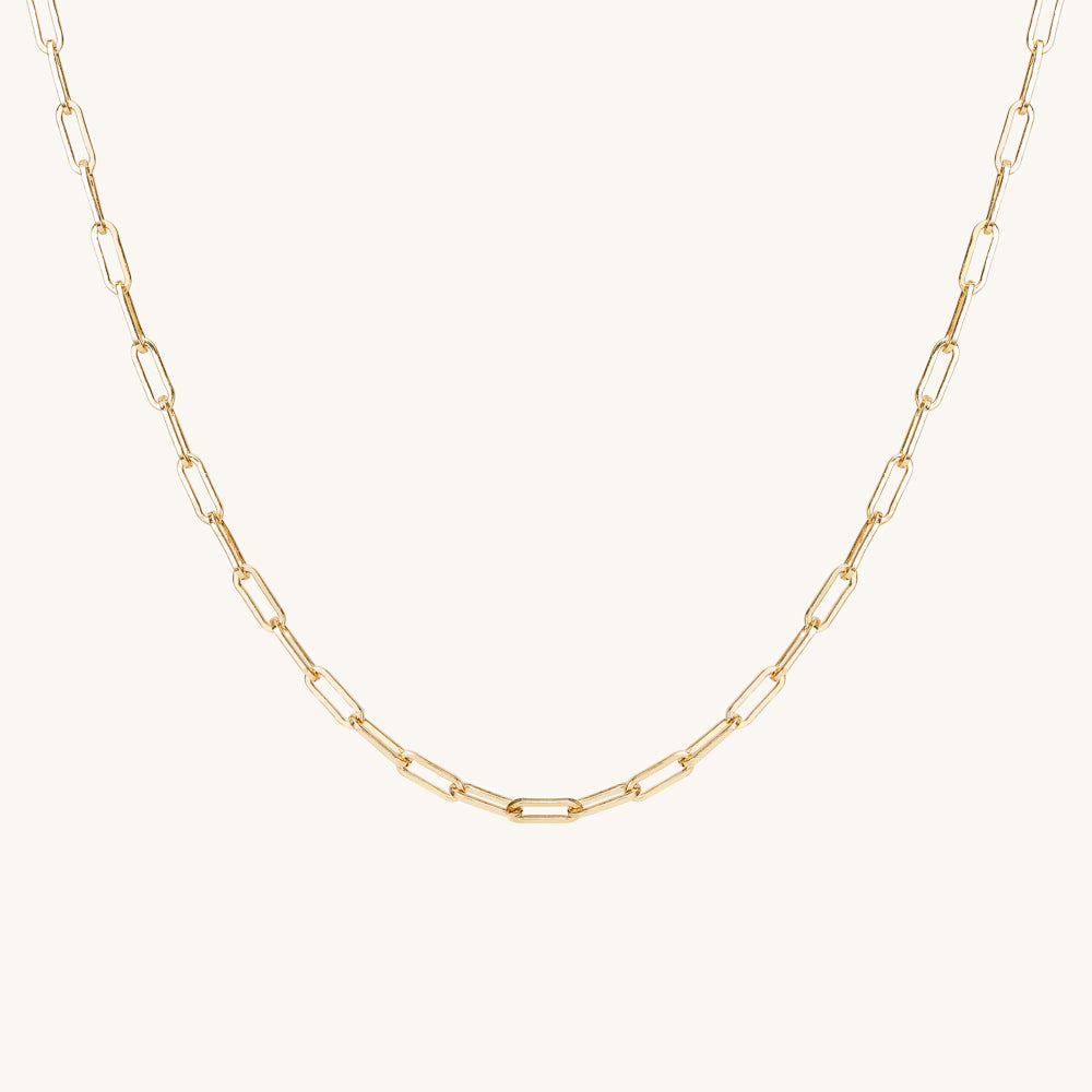 Robin Gold Link Chain Necklace