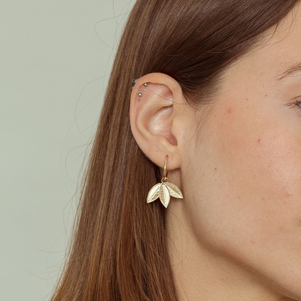 Gold earrings | Naya