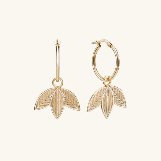 Gold earrings | Naya