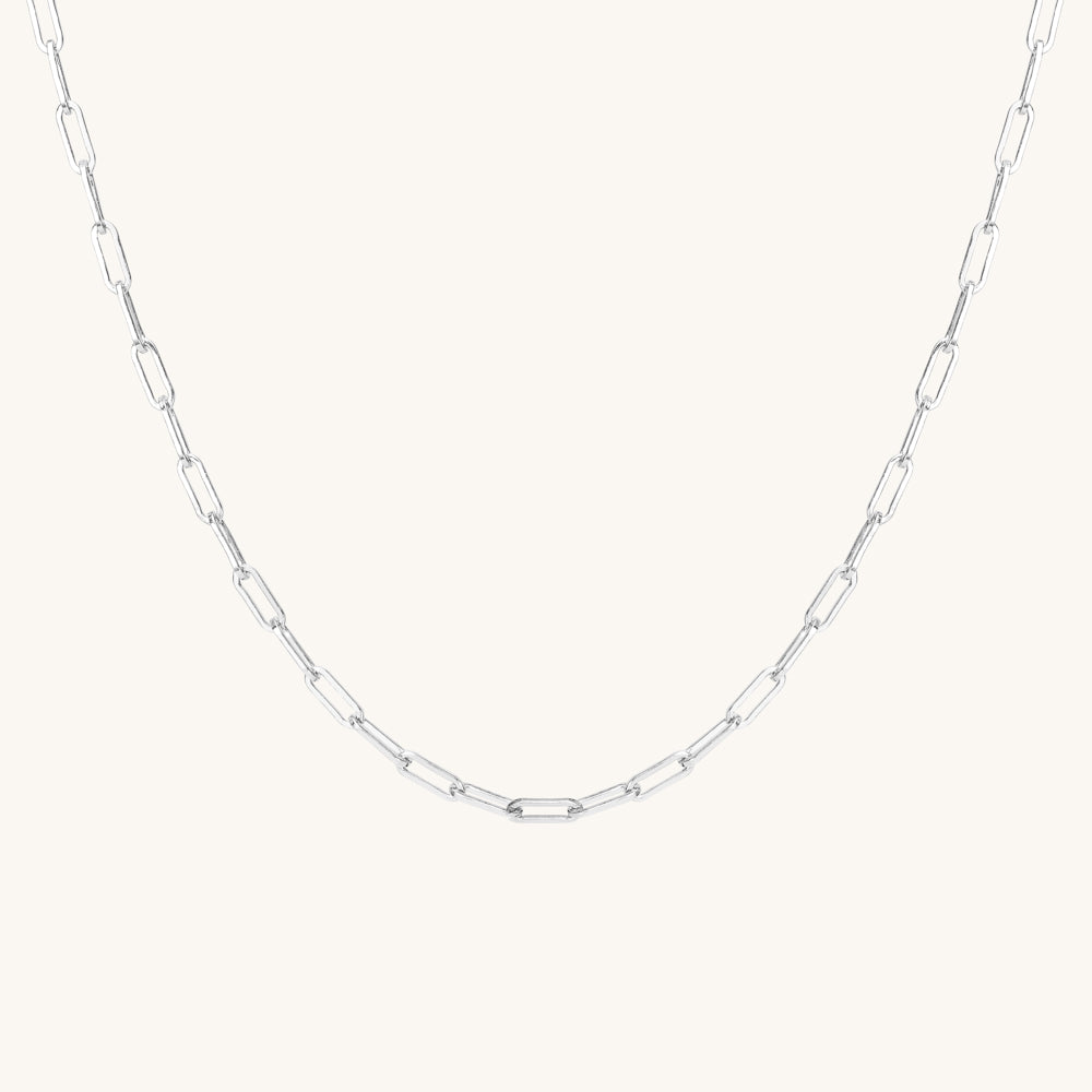 Robin Silver Link Necklace