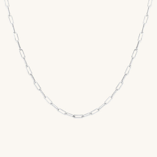 Robin Silver Link Necklace